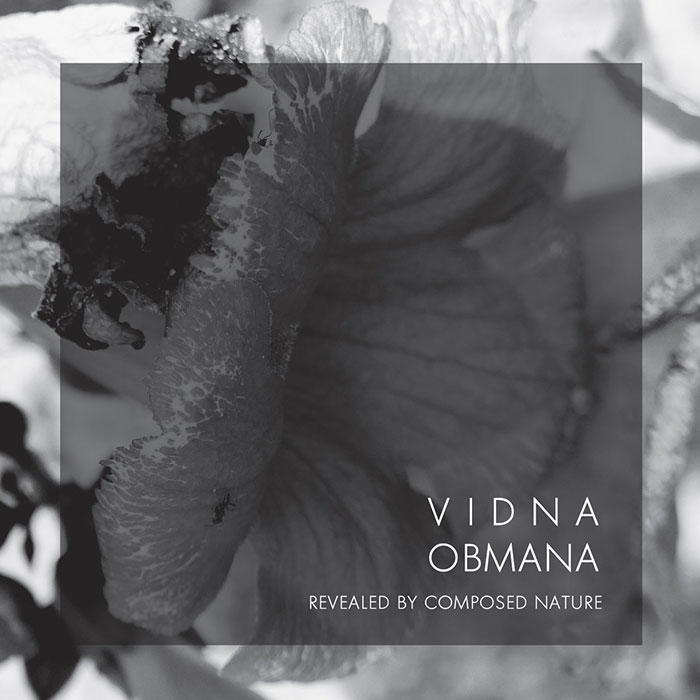 
VIDNA OBMANA Revelated By Composed Nature Anxious Magazine