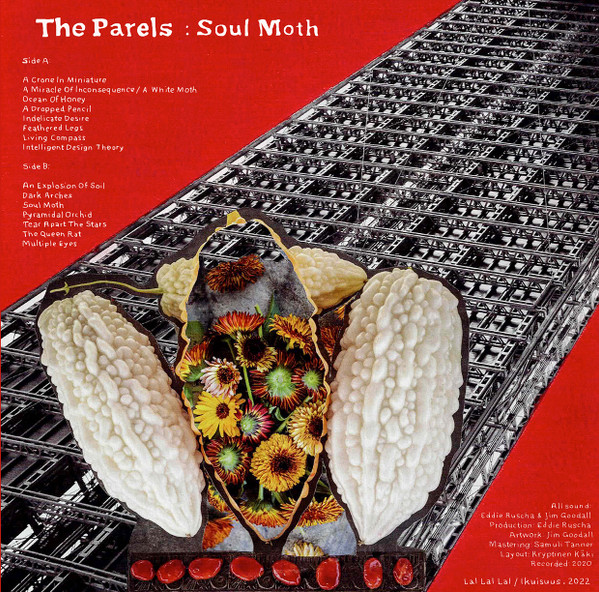 The Parels Anxious Magazine Soul moth
