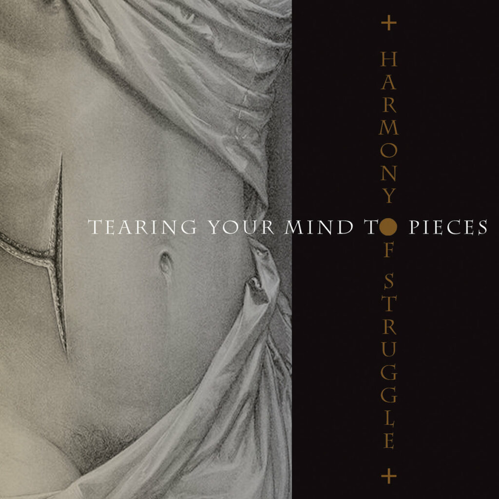 HARMONY OF STRUGGLE Tearing Your Mind to Pieces Anxious Magazine