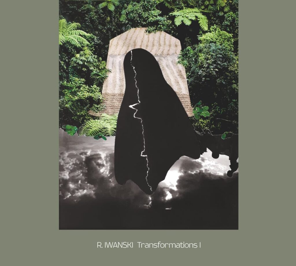 R. IWANSKI – Transformations I Anxious Magazine