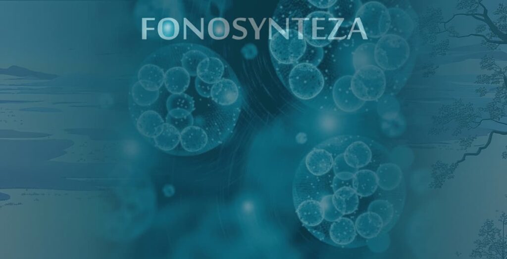 Fonosynteza Anxious Magazine
