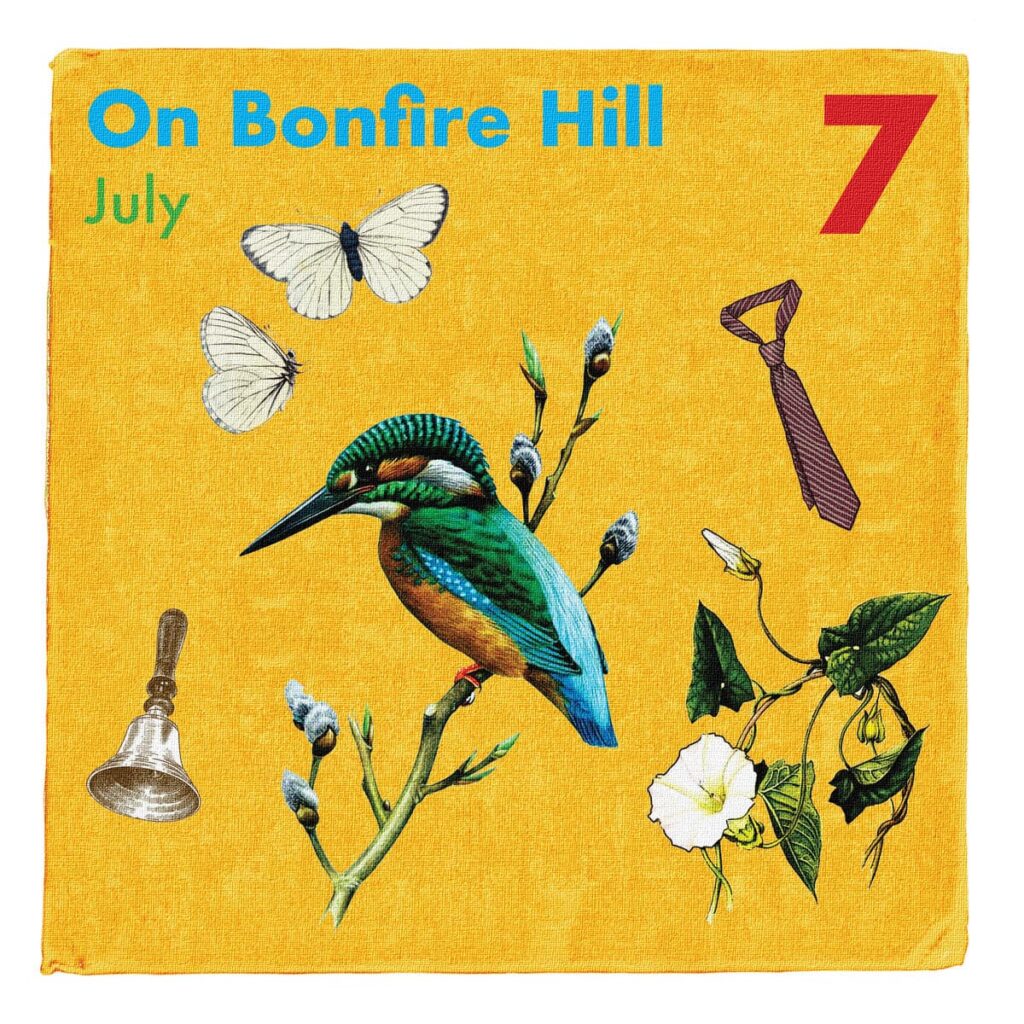Anxious Magazine Bonfire Hill A Year on Bonfire Hill: July