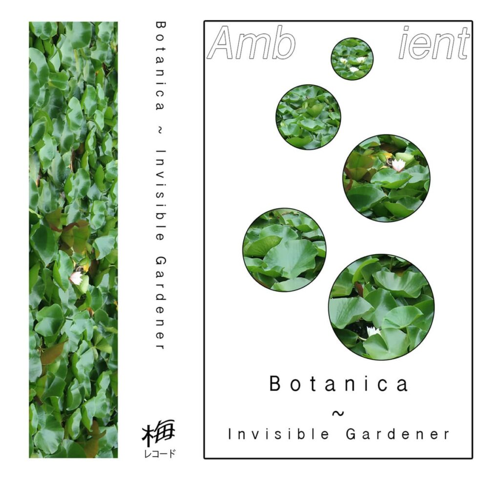Botanica Invisible Gardener Anxious Magazine