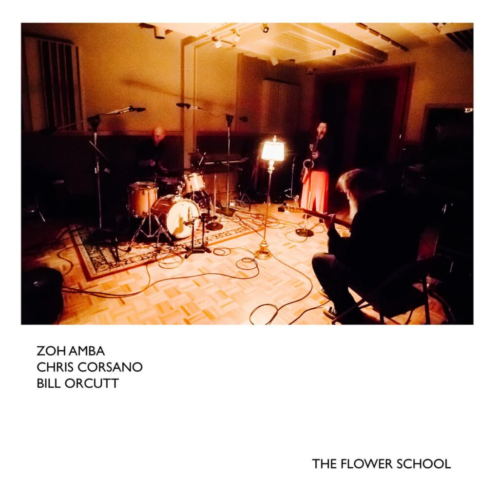 Anxious Magazine Zoh Amba & Chris Corsano & Bill Orcutt The Flower School
