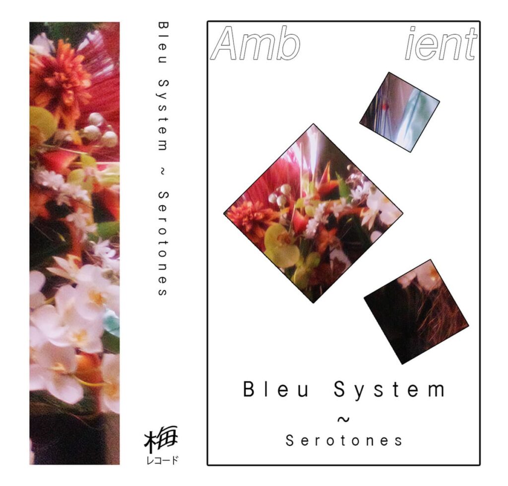 Anxious magazine Bleu System – Serotones