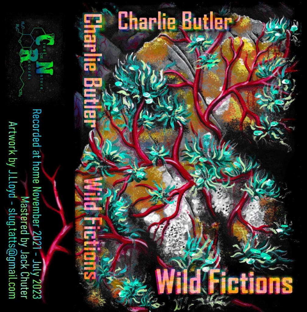 Anxious magazine Charlie Butler – Wild Fictions